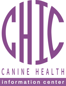 CHIC logo