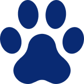 Blue paw shape